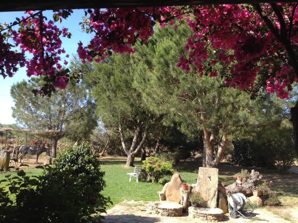 Il Ruscello Villa Sant'Anna Arresi Ruang foto